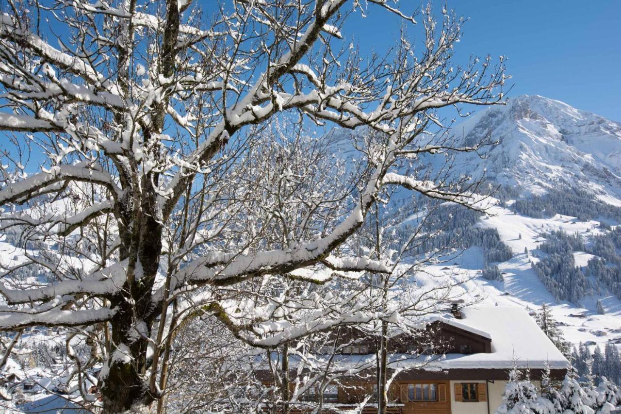 Ferienwohnung Senggi Adelboden Luaran gambar